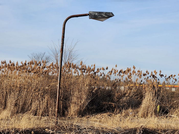 Stuckeys - Paw Paw From Cecil Grosskopf Ii On Facebook (newer photo)